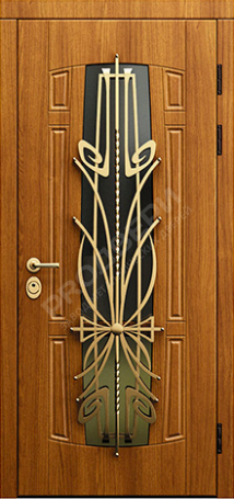 Фотография «Дверь с ковкой №9»