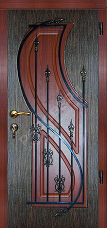 Фотография «Дверь с ковкой №8»