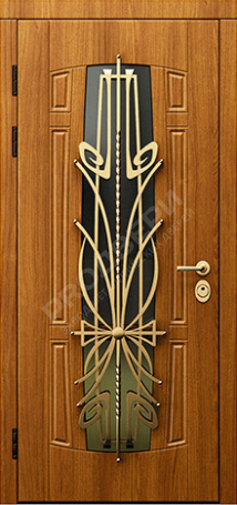 Фотография «Дверь с ковкой №9»