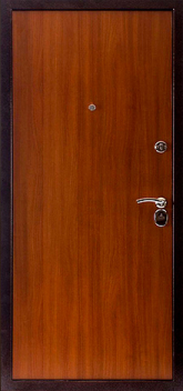 Фотография «Дверь с ковкой №3»